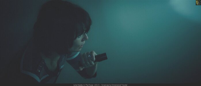 Lena Headey leaked photo #4