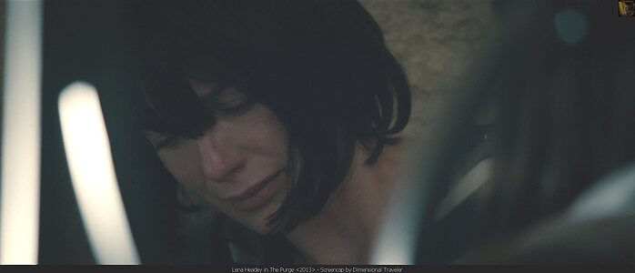 Lena Headey leaked photo #87