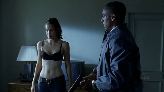 Leslie Bibb leaked photo #163