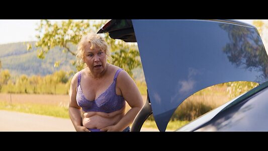 Lesser Known Swedish Classic Celebrities leaked photo #21