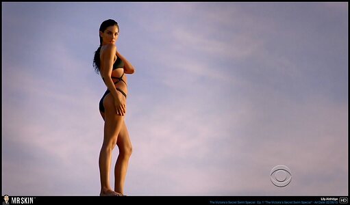 Lily Aldridge leaked photo #12