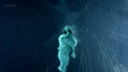 Lily Cole leaked photo #486