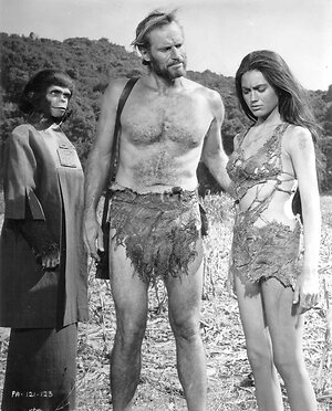 Linda Harrison leaked photo #22