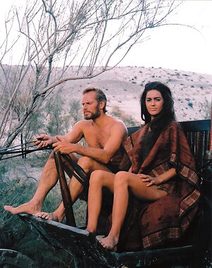Linda Harrison leaked photo #31