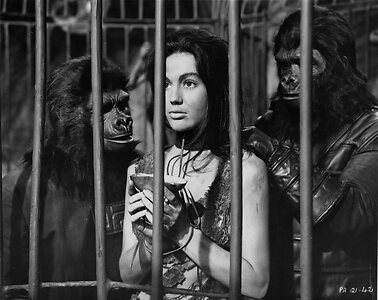 Linda Harrison Nude Leaked Photo #33