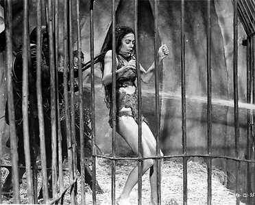 Linda Harrison Nude Leaked Photo #34