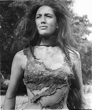 Linda Harrison leaked photo #40
