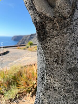 Linda Lanu Nude Leaked Photo #46