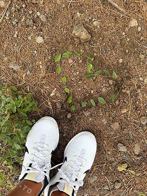 Linda Lanu Nude Leaked Photo #212