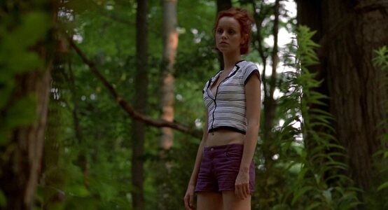Lindy Booth Nude Leaked Photo #23