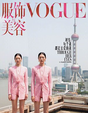 Liu Wen