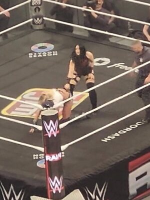 Liv Morgan leaked photo #35