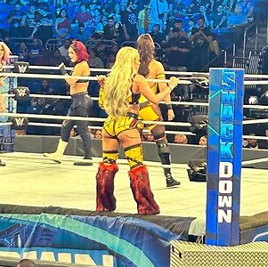 Liv Morgan leaked photo #228