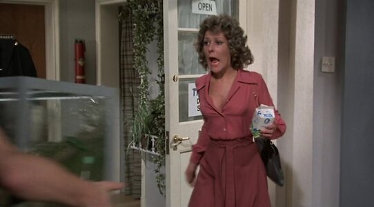 Lynda Bellingham leaked photo #42