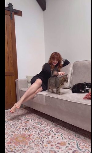 Set 7 — 4 photos