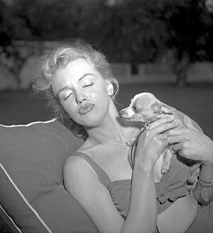 Marilyn Monroe leaked photo #17