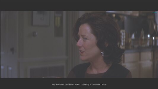 Mary McDonnell leaked photo #4