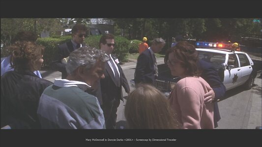 Mary McDonnell leaked photo #18