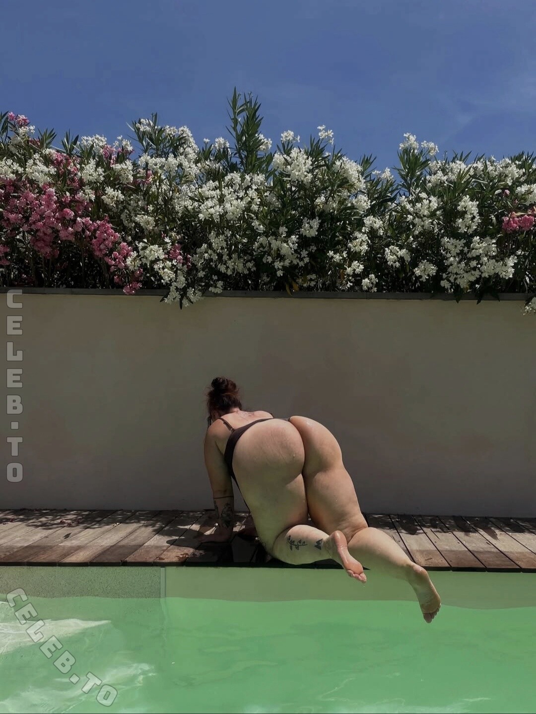 Maryismyra photo