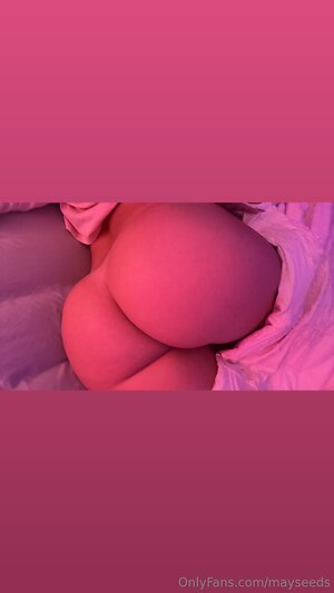 Set 6 — 8 photos