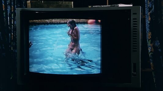 Meg Foster leaked photo #18