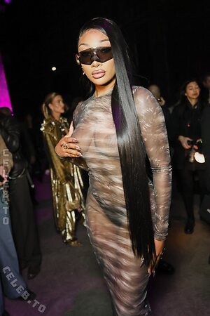 Megan thee stallion Nude Leaked Photo #4