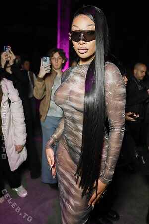 Megan thee stallion Nude Leaked Photo #5