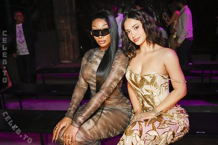 Megan thee stallion Nude Leaked Photo #6