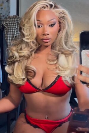 Megan thee stallion leaked photo #58