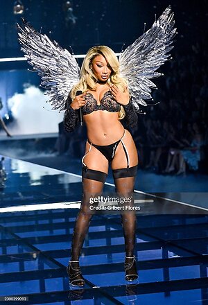 Megan thee stallion leaked photo #78