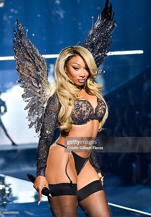 Megan thee stallion leaked photo #82