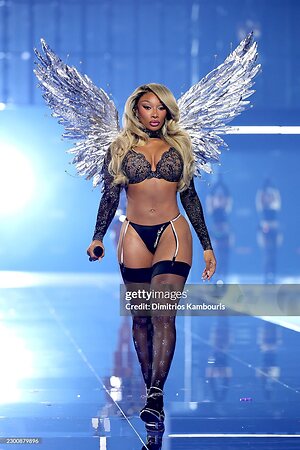Megan thee stallion leaked photo #89