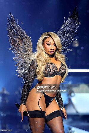 Megan thee stallion leaked photo #90