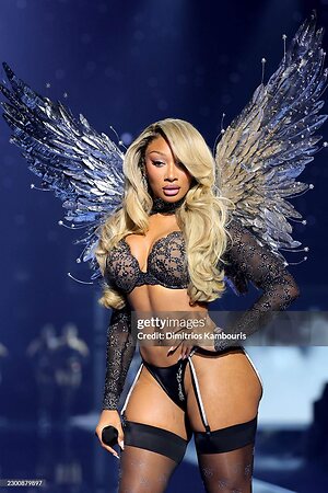 Megan thee stallion leaked photo #91