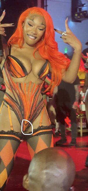 Megan thee stallion