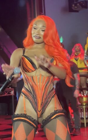 Megan thee stallion leaked photo #134