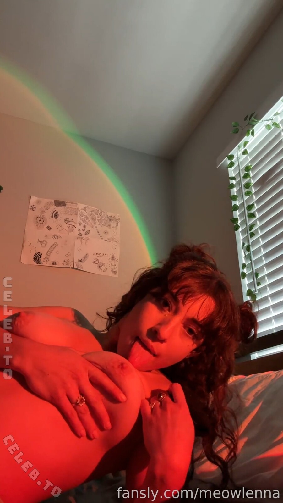 meowlenna photo