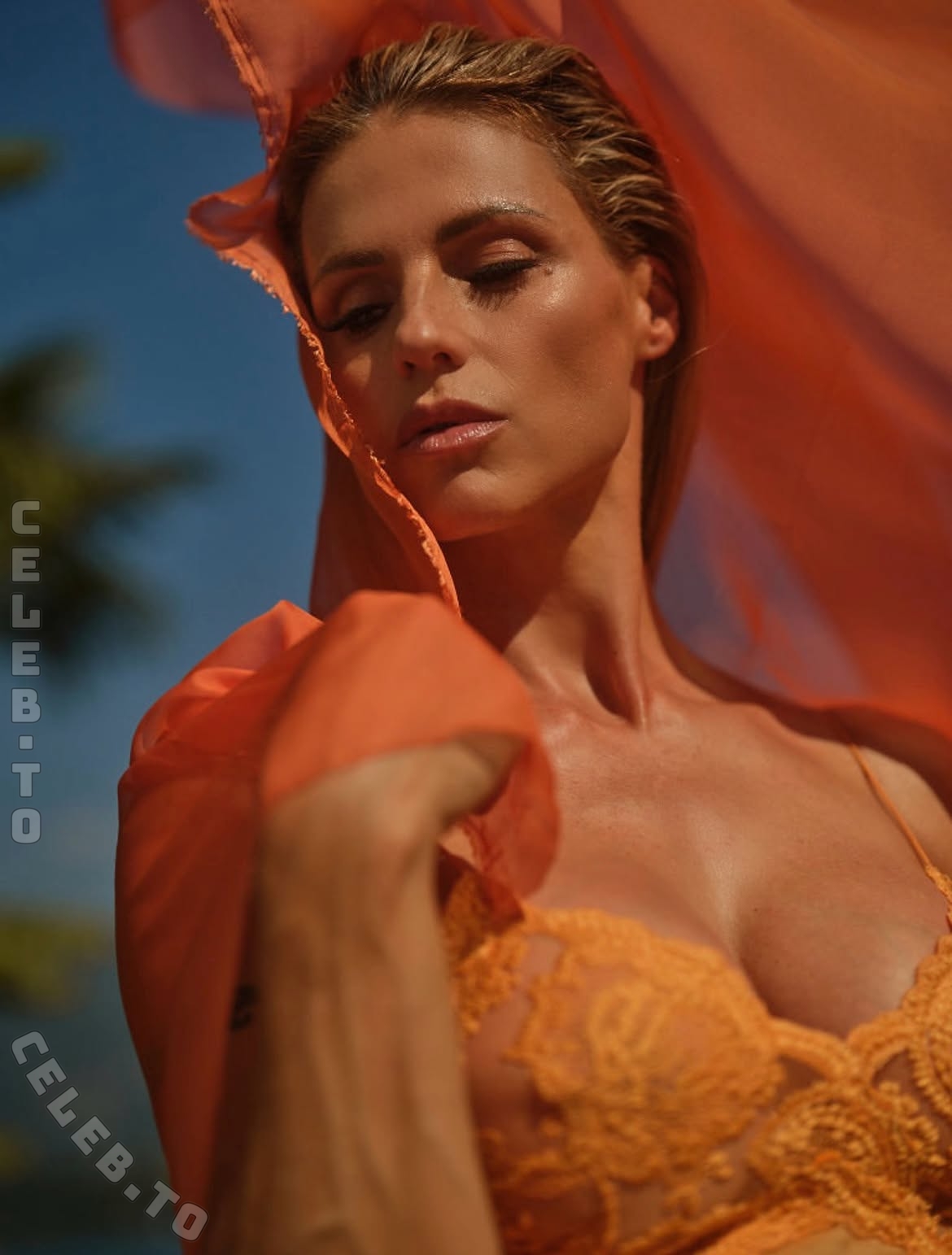 Michelle Hunziker photo