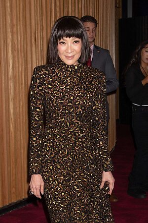Michelle Yeoh leaked photo #39