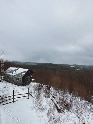 mickey Nude Leaked Photo #5