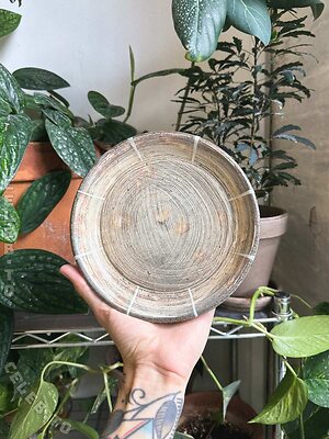 mickey Nude Leaked Photo #36