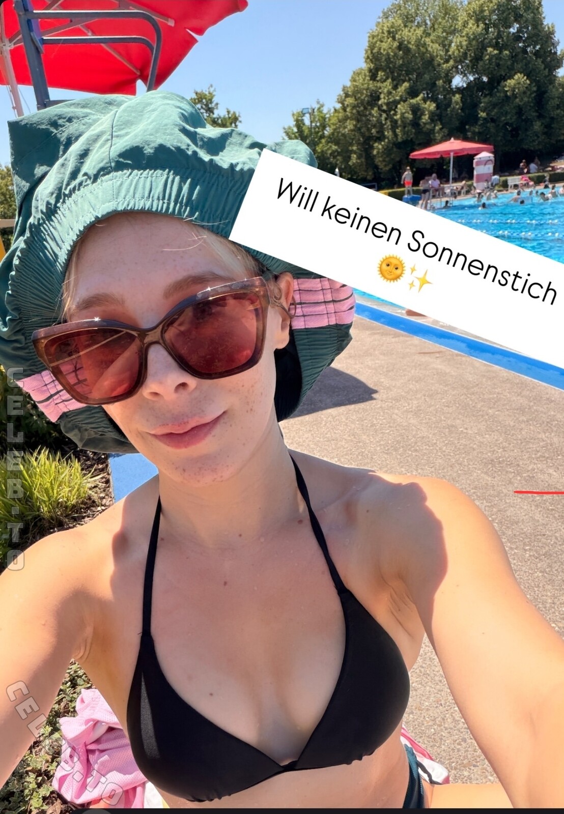 Milschbaum photo