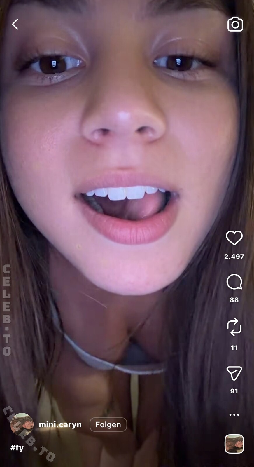 Minicaryn photo