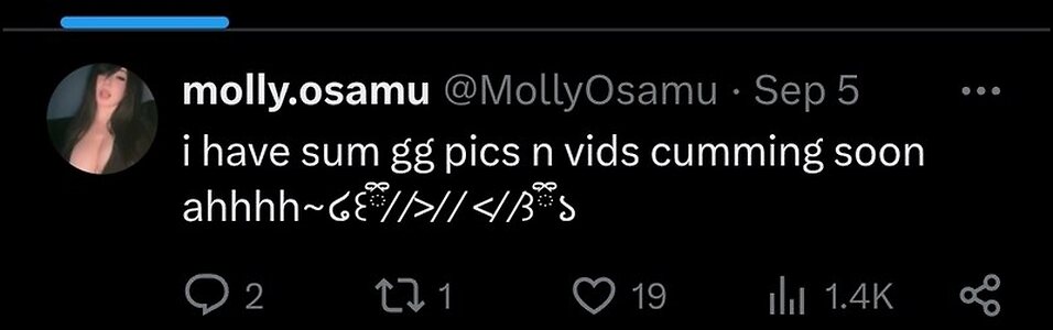 Mollymew2