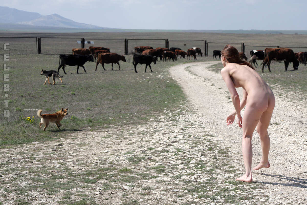 Nackt in Russland photo