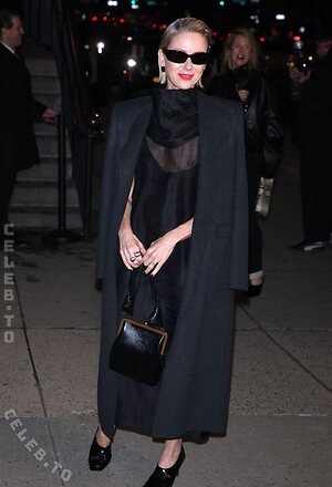 Naomi Watts Nude Leaked Photo #3