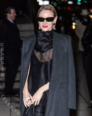 Naomi Watts Nude Leaked Photo #26