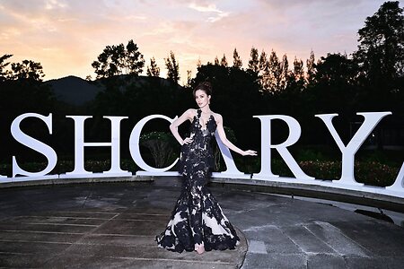 Nhu Van Nguyen Dinh leaked photo #87