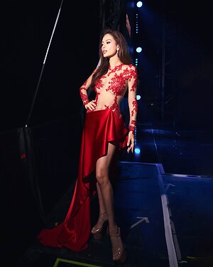 Nhu Van Nguyen Dinh leaked photo #96