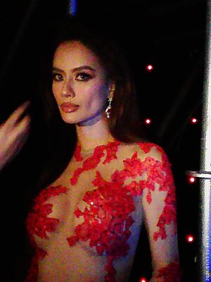 Nhu Van Nguyen Dinh leaked photo #103